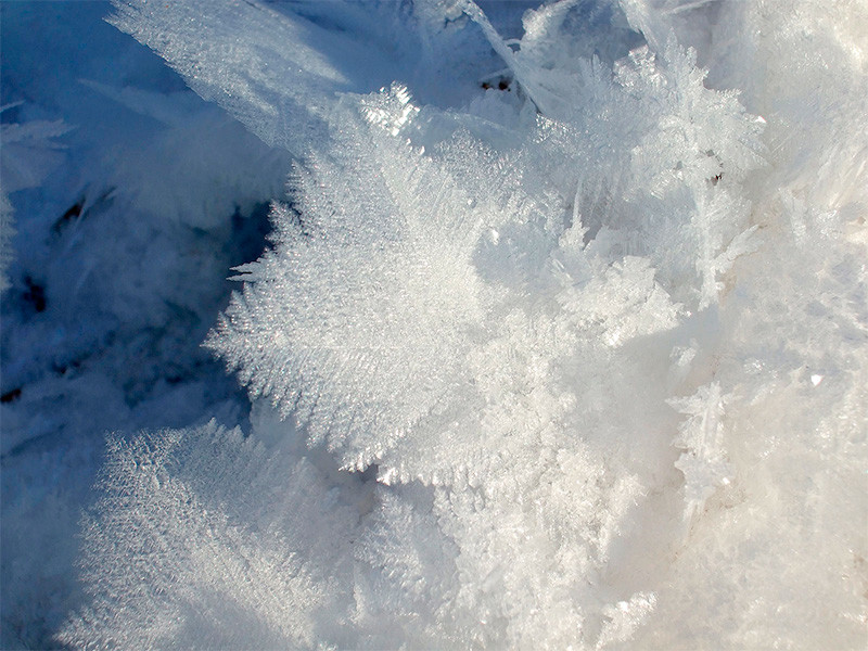 На следующей неделе в московском регионе ударят морозы - в ночное время температура может достичь минус 27 градусов по Цельсию 