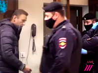 Алексей Навальный, 12 февраля 2021 года