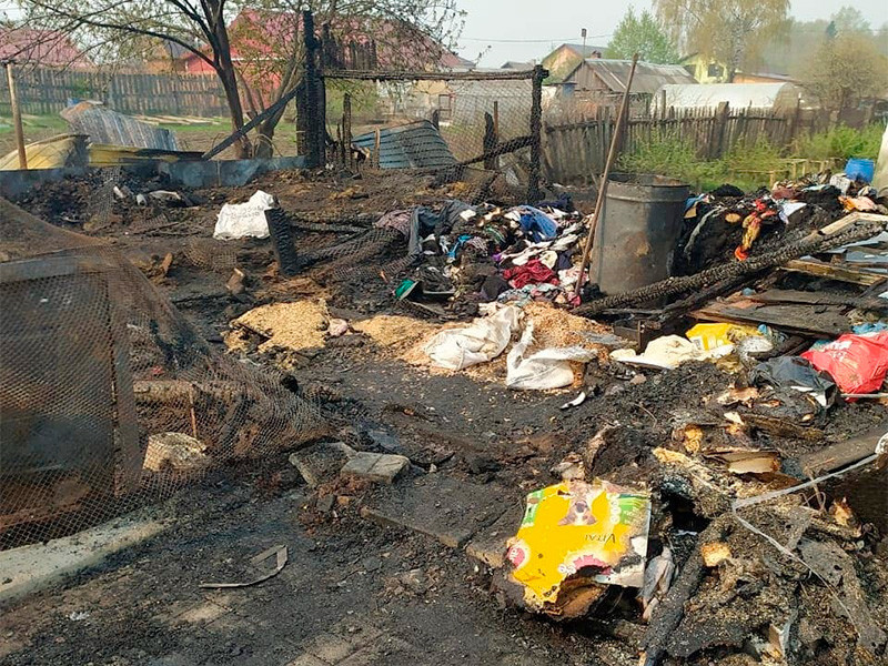 В Свердловской области во время пожара в частном приюте для собак в посёлке Билимбай погибло более 30 животных. Происшествие случилось в ночь с 9 на 10 мая