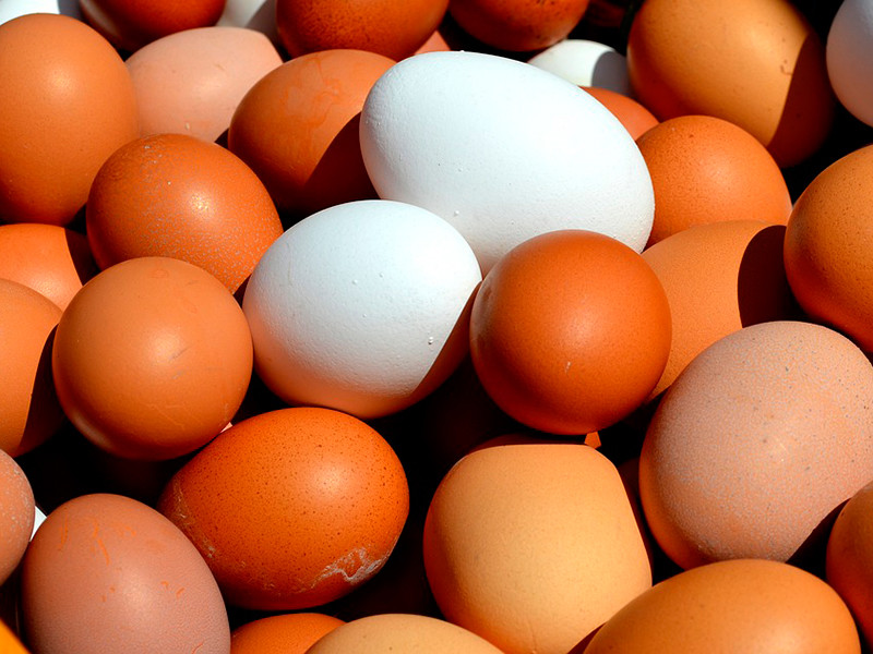 Производители куриных яиц попросили Минпромторг РФ помочь решить проблему с "критическим снижением" закупочных цен на свою продукцию